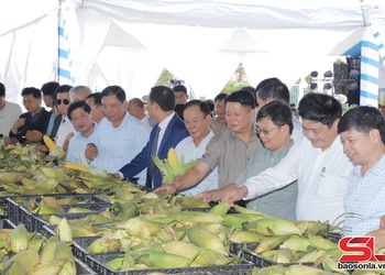  Àu khảu chuông hong chuông máy dệt phắc hòm mák nuối xáư hộp chỉa nẳng Sơn La