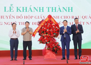 Paper-based packaging line for vegetables, fruits inaugurated in Son La