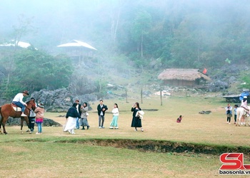 Moc Chau cooperative hosts over 20,000 tourists