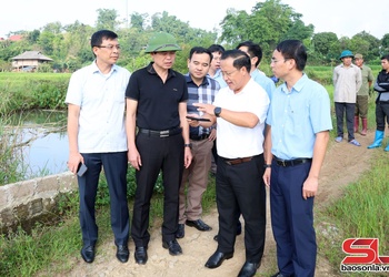 Provincial Party leader inspects preparations for school construction in border communes