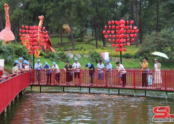  Pếnh khày luông hanh chư xiềng tiếng khao nả vịa qua ỉn Sơn La