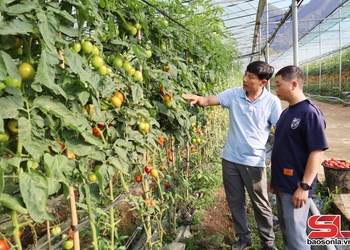 Ngọc Chiến mả pe cạ khài, chuông hong vịa qua ỉn