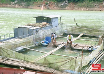 Xã Đoàn Kết mả pe nghê liệng pà 