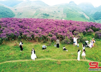 Van Ho welcomes over 20,000 tourists