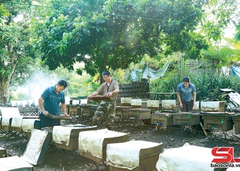 Tsưx truôx 262 siz khov muôs kôngz, tsiax đêx nhaz xênhz.