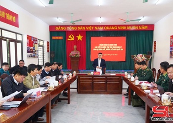 Vice Chairman of provincial People’s Committee inspects borderline, marker management