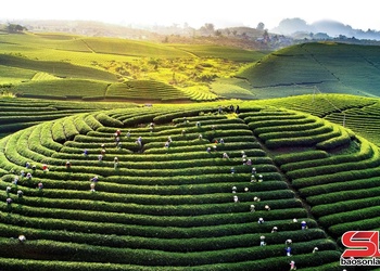  Phổng qua ỉn cá mương Mộc Châu tưa thứ 3 đảy sừng nhọng lỏ bón qua ỉn chăn ngam sưa nẳng tênh phén đìn mương lum