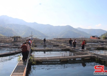  Lăm le nả vịa qua ỉn nẳng phổng nòng lừng nặm te thủy điện Sơn La