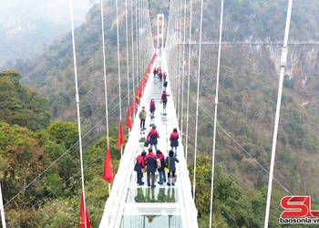 Cá tỉnh tỏn 5,3 triệu vặt khék ma qua ỉn