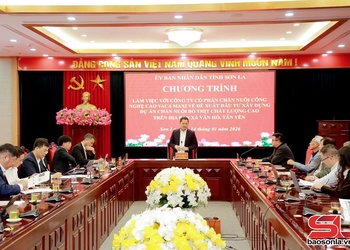 Vaca Maxi proposes high-quality beef cattle farming and feed processing project in Son La