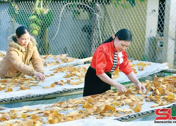 Cxiv tsa qơư siz khov chos thiaz muôs njuôs trâu tuz kôngz