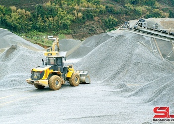 Têx nhiax sâu tâu txix têx zav khơưz hâur đruôz ar yax 155 tỷ đaiv