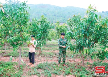 Chiềng Hặc muôx yax 3.200 ha ntông nox txir