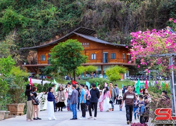 Sơn La tỏn chi áo họt 300 păn vặt khék qua ỉn pộp dan Chiềng Chiên  lang Hai Xngạ 2026