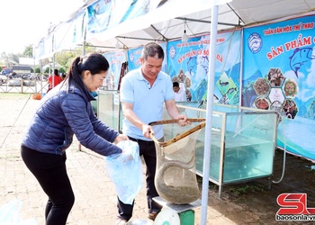 Kror jông txix qơư kriz têx txux chi, muôs kôngz lông thiaz tênhz tso đuôz zênhx zav nuôv zax Quỳnh Nhai