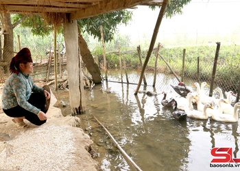 Mường Lạn huôv tsar zus tsiax zâu