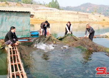 Xã Quỳnh Nhai cánh Đoàn Kết mả pe liệng tồ dú cuồng nặm