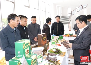 Sơn La mi 210 chương khòng OCOP