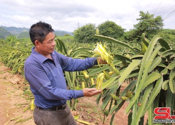 Lang đì té xủ công nghệ saứ dệt dượn