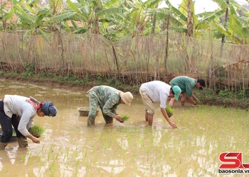 Sốp Cộp kho đêx chos blêx nzor