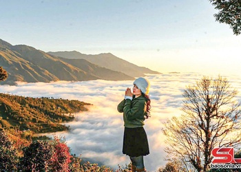 Tourism revenue in Ta Xua reaches 75 billion VND