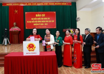 Sơn La số cử tri phốc phiếu cựt đảy 83,63% cuồng tứn chạu mự bầu cử