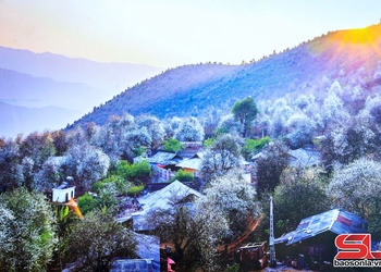 Various products on display at Ngoc Chien Hawthorn Flower Festival 2026