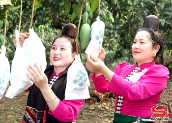 Gruô hu lôngx txir mo môngk chia uô lax luôv thiaz muôs trâu oz chas têz shông 2026