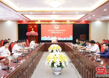 Tủm pua chấp phụi pằng thù cưn đìn, chấp năm tẳng tánh cánh pằn dài ngơn cốc cồng dự án
