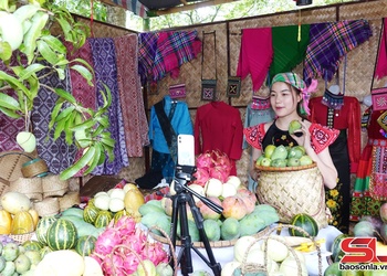 Cáo ảng khài chương hay xuần cài mạng