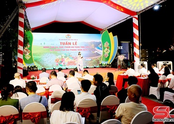 Kriz Têx hnuz muôs kôngz thiaz txir nox hur tỉnh Sơn La ntơưv Hải Phòng shông 2026