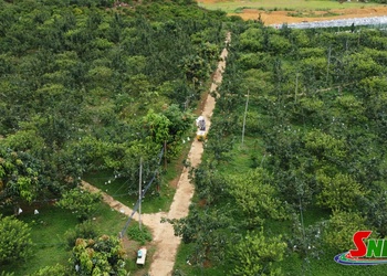 Lê Tai Nung Phiêng Khoài nhav nxias bê lax luôv hâur cêr lax luôv nhiv no