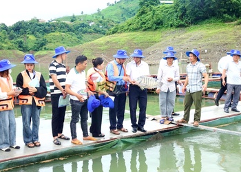 Pếnh khày luông hanh liệng pà công nẳng nòng nặm te hươn máy điện nặm