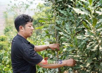 Mả pe dệt dượn mẳn nà nẳng Mường Bám