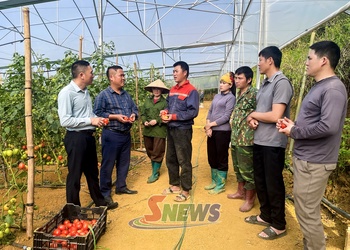 Po hay me na Vân Hồ piến máư vịa dệt dượn hay na