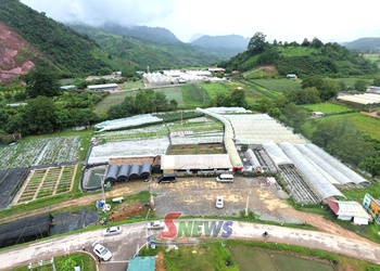  Moc Chau cooperatives link agriculture with tourism to drive growth
