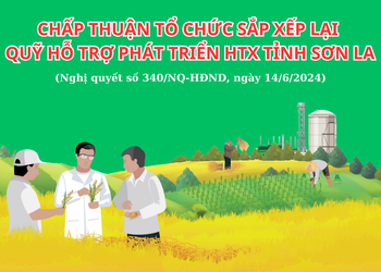Chấp thuận tổ chức sắp xếp lại Quỹ hỗ trợ phát triển HTX tỉnh Sơn La