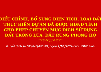 Điều chỉnh, bổ sung diện tích, loại đất thực hiện dự án đã được HDND tỉnh cho phép chuyển mục đích sử dụng đất trồng lúa, đất rừng phòng hộ