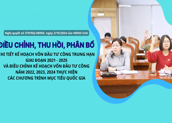 Nghị quyết số 379/NQ-HĐND, ngày 2/10/2024 của HĐND tỉnh