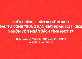 Nghị quyết số 398/NQ-HĐND của HĐND tỉnh Sơn La