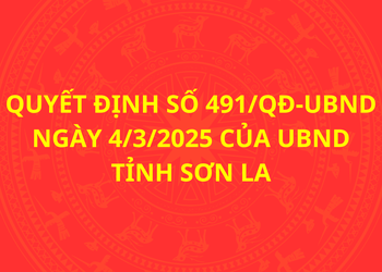 Quyết định số 491/QĐ-UBND ngày 4/3/2025 của UBND tỉnh Sơn La