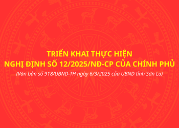 Triển khai thực hiện Nghị định số 12/2025/NĐ-CP của chính phủ