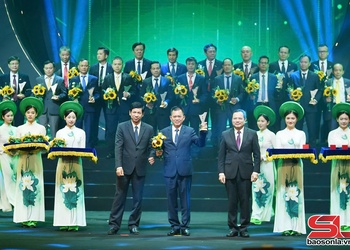 Đảng bộ doanh nghiệp tiêu biểu 5 năm liền