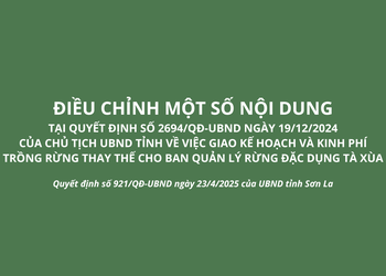 Quyết định số 921/QĐ-UBND của UBND tỉnh Sơn La