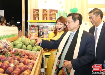 Cây ăn quả trên đất dốc - Biến không thành có, biến khó thành dễ