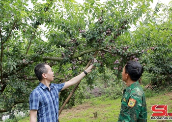 Xây dựng chuỗi giá trị trong sản xuất, tiêu thụ sản phẩm