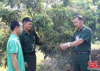 Cựu chiến binh giúp nhau làm kinh tế