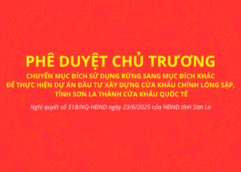 Chuyển mục đích sử dụng rừng để thực hiện Dự án đầu tư xây dựng cửa khẩu chính Lóng Sập thành cửa khẩu Quốc tế