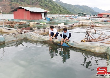 Nghề nuôi cá lồng ở Mường Khiêng