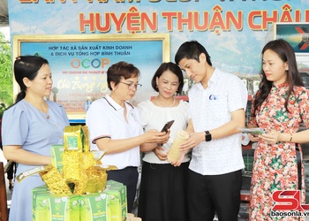 Phát triển sản phẩm công nghiệp nông thôn